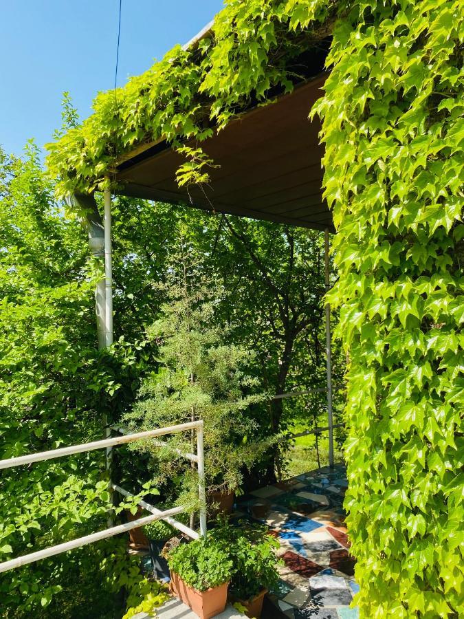 Green House 호텔 라고데키 외부 사진