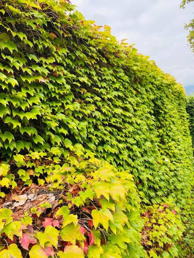 Green House 호텔 라고데키 외부 사진