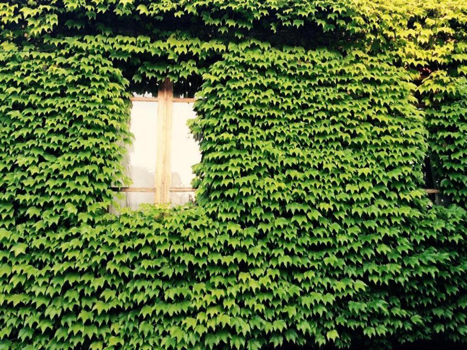 Green House 호텔 라고데키 외부 사진